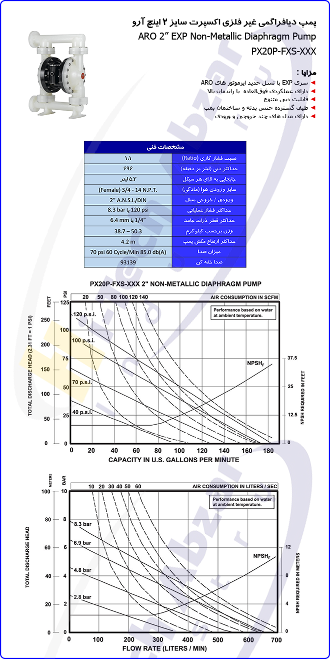 10 2'' EXP Non-Metallic Air Operated Diaphragm Pump2